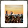 Nature In The City Framed Print