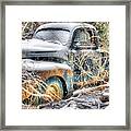 Nature Takes Back Framed Print