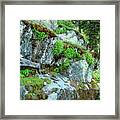 Nature's Collage Framed Print