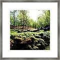 Nature's Cycle Framed Print