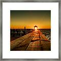 Nature's Lantern Framed Print