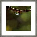 Natures Light Framed Print