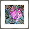 Nature's Love Framed Print