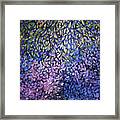 Natures Stain Glass Symphony Framed Print