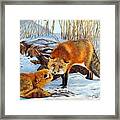 Natures Submission Framed Print