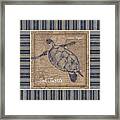 Nautical Stripes Sea Turtle Framed Print