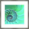 Nautilus Aqua Spiral Framed Print