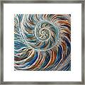 Nautilus Framed Print