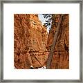 Navajo Trail Tree Framed Print