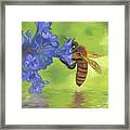 Nectar Of Life - Honeybee Framed Print
