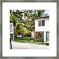 Neglected In Paradise Framed Print