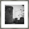 Nenagh Castle County Tipperary Ireland Framed Print