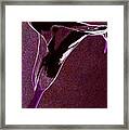 Neon Calla Lilly 2 Framed Print