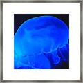 Neon Jelly Blue Ii Framed Print