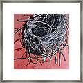 Nest Above House Framed Print