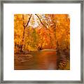 New England Autumn In The Woods Framed Print
