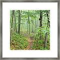 New England National Scenic Trail Misty Forest Framed Print