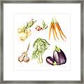 New Farmers Market Study Framed Print