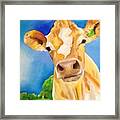 New Jersey Cow Framed Print