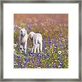 New Life Framed Print