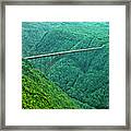 New River Gorge Bridge Framed Print