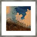 New Smyrna Dunes Framed Print