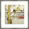 New Yorker May 8 1954 Framed Print