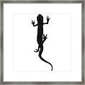 Amphibian Lizard Design Framed Print