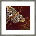 Night Butterfly Framed Print