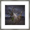 Night Dreamer Framed Print