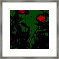 Night Magic Flowers Framed Print