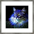 Night Stalker Framed Print