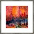 Night Time Among The Maples Framed Print