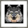 Night Wolf Framed Print