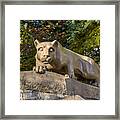 Nitany Lion In Fall Framed Print