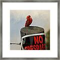 No Trespassing Framed Print