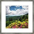 North Carolina Appalachian Mountains Spring Flowers Scenic Landscape Framed Print