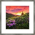 North Carolina Mountains Outdoors Landscape Appalachian Trail Spring Flowers Sunset Framed Print