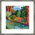 North Valley Acequia Framed Print