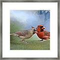 Northern Cardinals On A Spring Day Framed Print