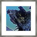 Oak Stump Framed Print