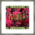 Oak Tree Dragonfly Framed Print