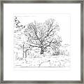 Oak Tree In Winter Snow Framed Print