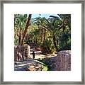 Oasis Coolness Framed Print