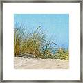Ocean Beach Dunes Framed Print