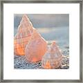 Ocean Jewels Framed Print