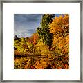 October Foliage Framed Print