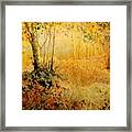 October Glow Framed Print