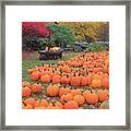 October Harvest Framed Print