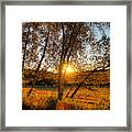 October Sunset Golden Glow Framed Print